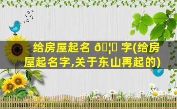 给房屋起名 🦍 字(给房屋起名字,关于东山再起的)